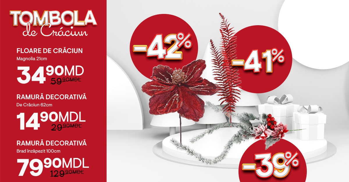 🎄 -50% la Flori și Ramuri Crăciun | Colecția 2025 | Global Store MD