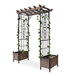 copaci-si-arbusti-decorativi