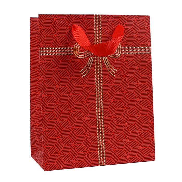 Punga cadou, GS, 18x10x23 cm, Diverse Culori, Verticala, Carton