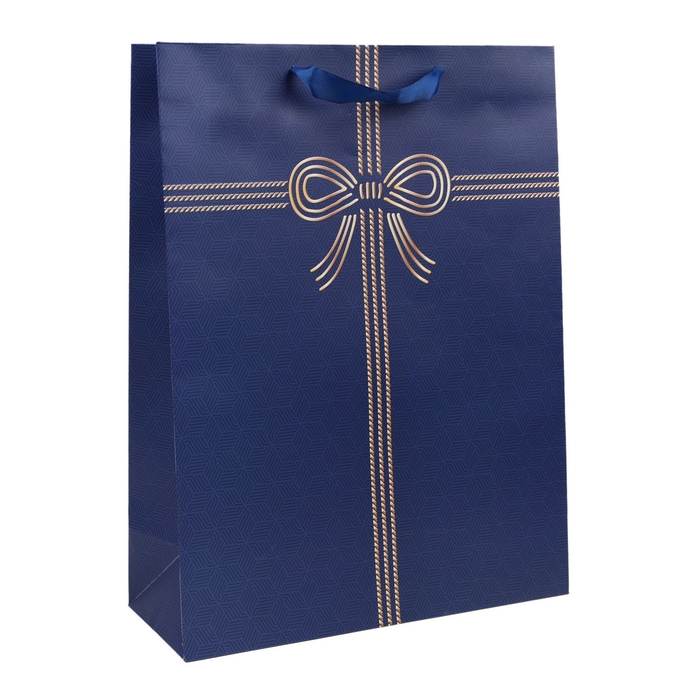 Punga cadou, GS, 40x30x12cm, Diverse Culori, Verticala, Carton