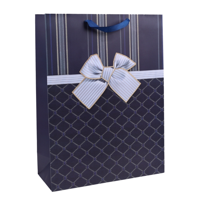 Punga cadou, GS, 40x30x12cm, Diverse Culori, Carton