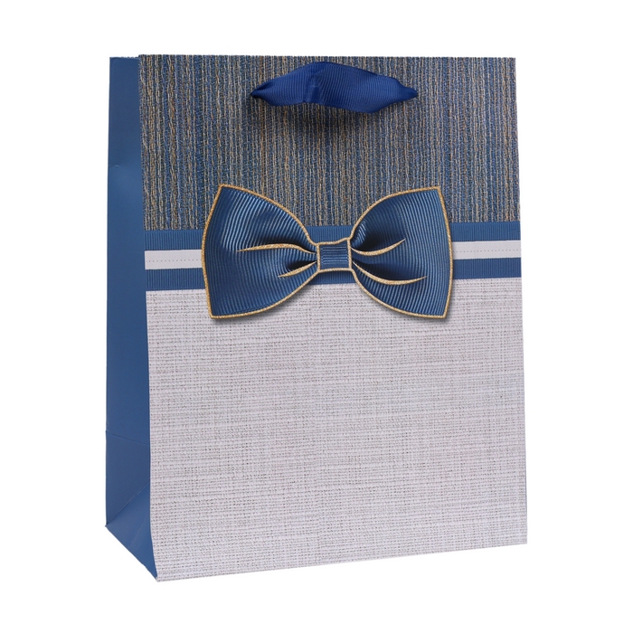 Punga cadou, GS, 18x10x23 cm, Diverse Culori, Carton