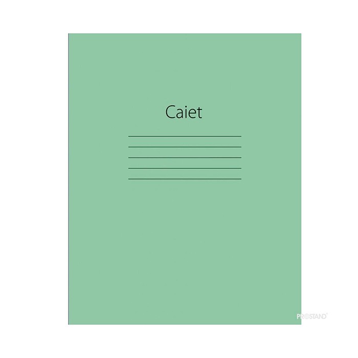 Caiet, PROSTAND, Linie mare, 12 file, Verde
