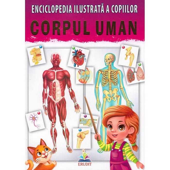 Детская иллюстрированная энциклопедия тело человека, ERUDIT, romana