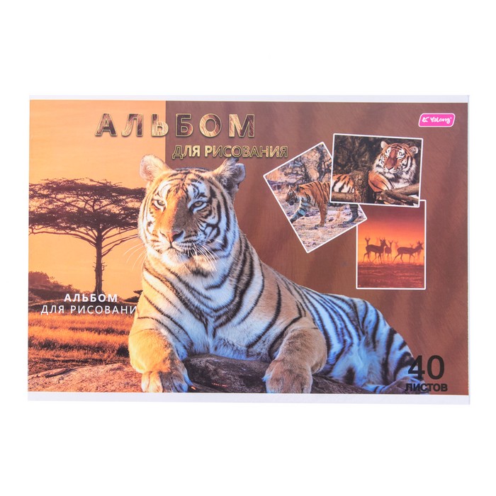 Album, YALONG, Pentru Desen, 24 file