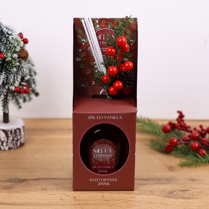 Air freshner, REED, 200 ml, Spiced vanilla, with sticks