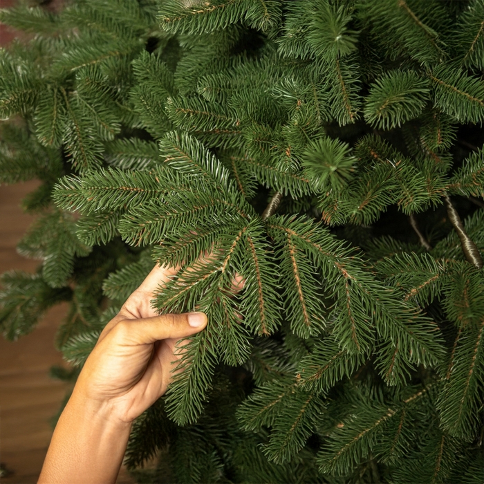 Brad de craciun, GLOBAL CHRISTMAS, Kovalivka, Verde, 300 cm, PE