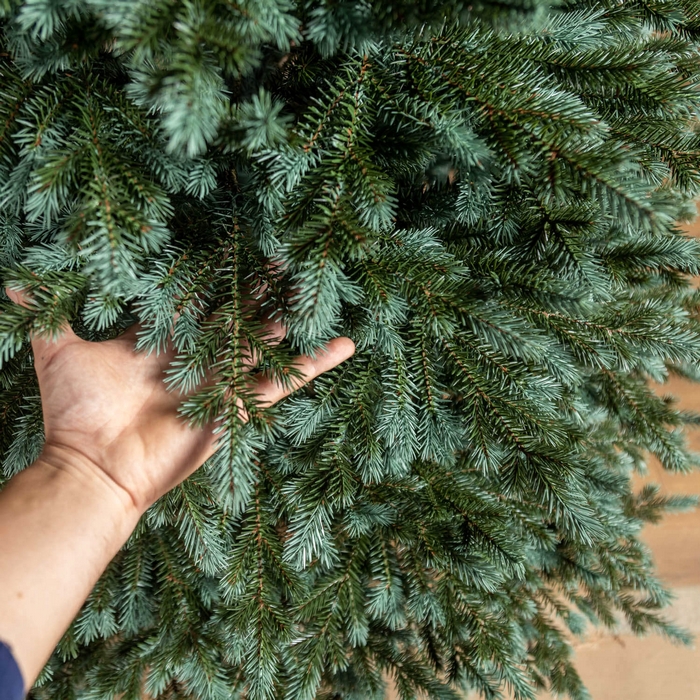 Brad de craciun, GLOBAL CHRISTMAS, Alaska, Verde/Albastru, 180 cm, PE