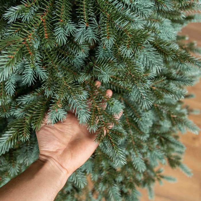Brad de craciun, GLOBAL CHRISTMAS, Alaska, Verde/Albastru, 250 cm, PE