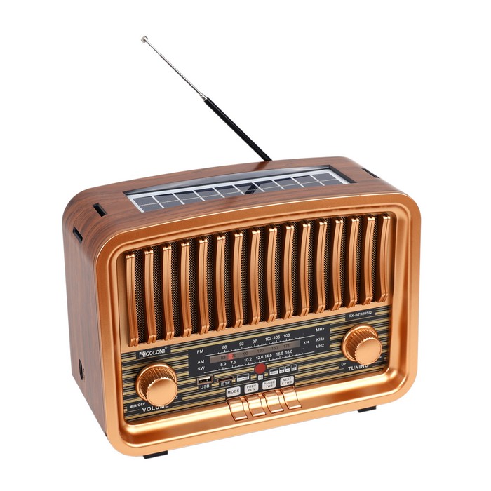 Radio, GS, Plastic, Cafeniu, 1000 W