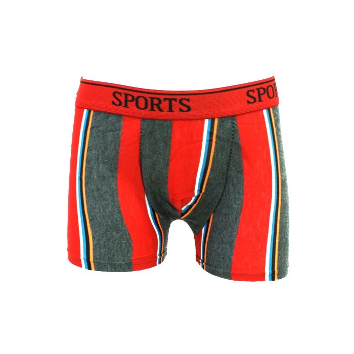 Boxeri baieti, GS, 4-5 ani, 85% Poliamid/15% Elastan, Diverse Culori