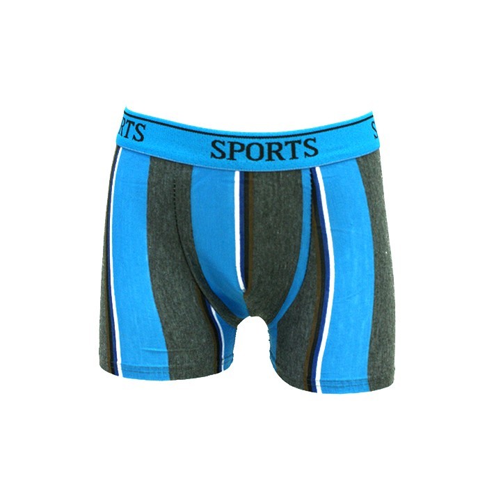 Boxeri baieti, GS, 4-5 ani, 85% Poliamid/15% Elastan, Diverse Culori