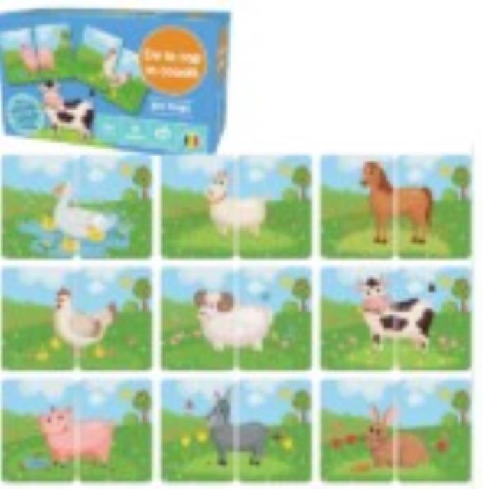 Jucarie logica, Essa Toys, De la cap la coadă, 3+