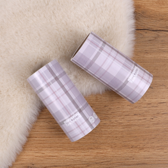 Set duze pentru roller curatat haine, GS, 2 duze, 60 file, Plastic