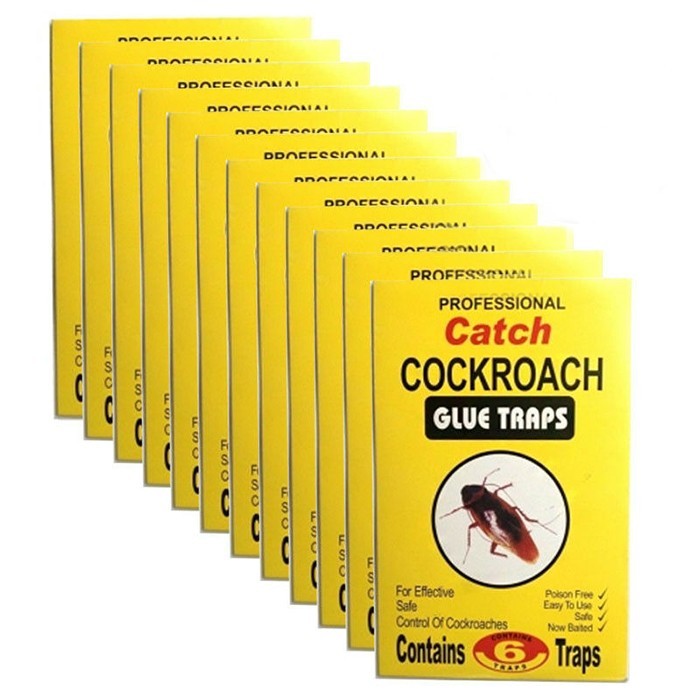 Capcana adeziva, GS, Pentru gindaci, 12 bucati, Carton