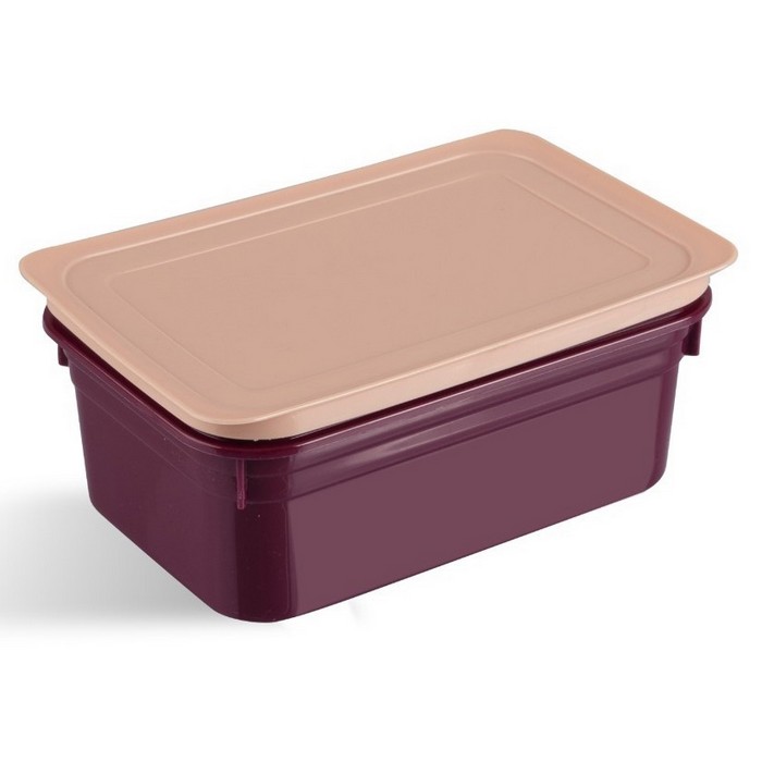Container, WISHHOME, Plastic, 375 ml, Color, With lid, Plastic, Rectangle