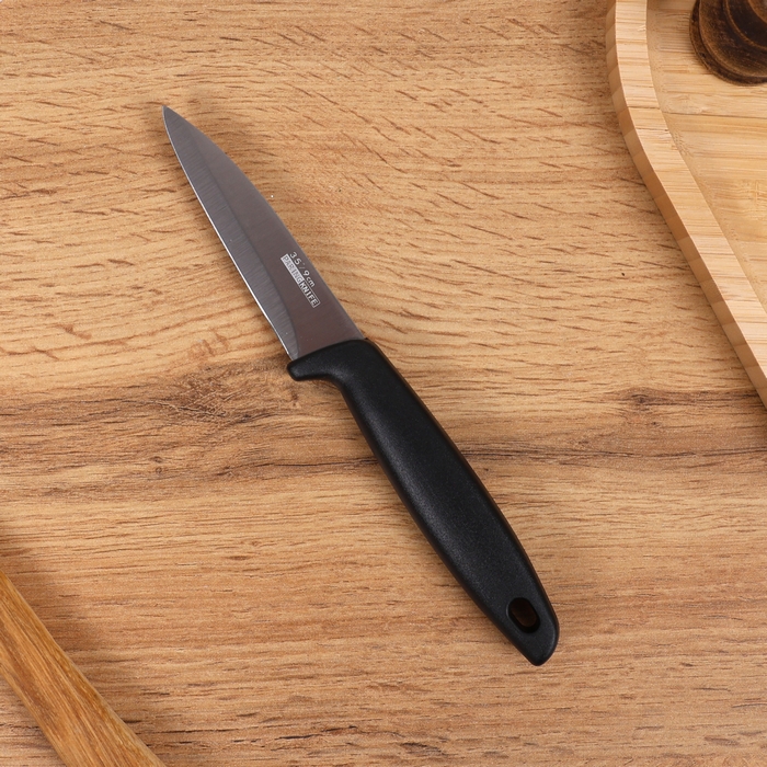Kitchen knife, DIEO, Stainless Steel/Plastic, 9 cm, Various Colors