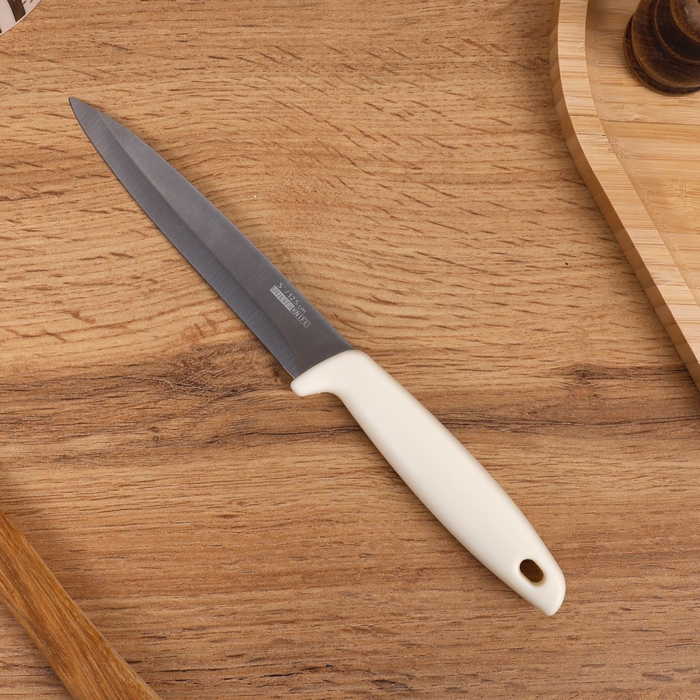 Kitchen knife, DIEO, Stainless Steel/Plastic, 12.5 cm, Various Colors