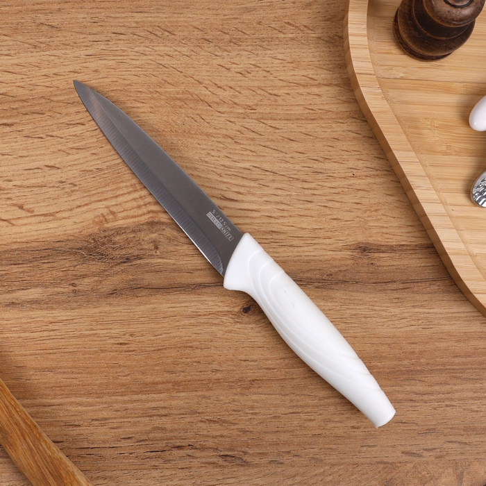 Kitchen knife, DIEO, Stainless Steel/Plastic, 12.5 cm, Various Colors